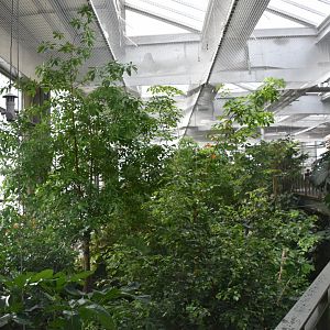 Part of the Rainforest Hall from the upper walkway