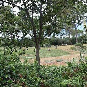Part of the Pantanal exhibit