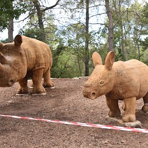 Red Maple Rhino statues