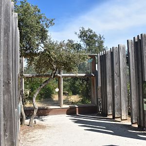 Sixth cheetah exhibit viewing.