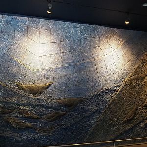 Penguin wall art relief in penguin house 'Vriesland', 2020-06-28