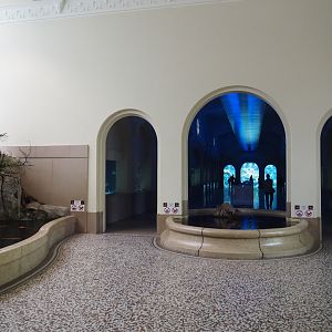 View in the entrance hall of the aquarium, 2020-06-28
