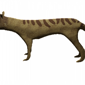 Thylacine Render