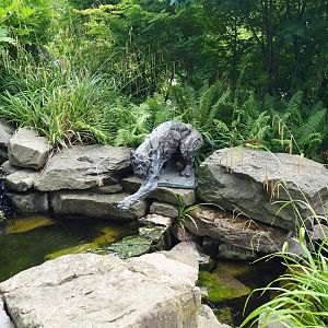 Pond with fishing jaguar statue, 2020-06-28