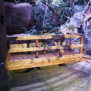 Feeding boardwalk in the American alligator exhibit, 2020-06-28
