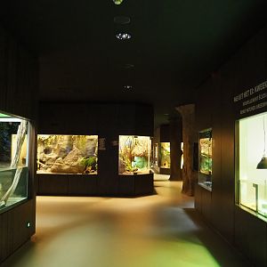 View in the Reptile house, 2020-06-28