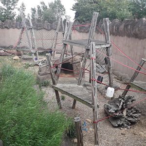 Orangutan enclosure outdoors