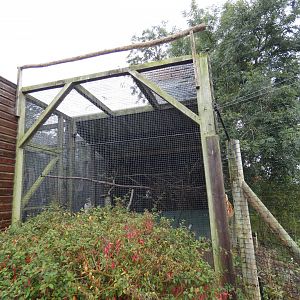 Laughing Kookaburra aviary