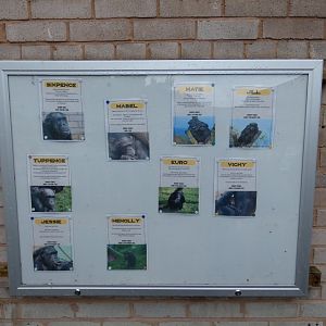 Chimp ID Signage