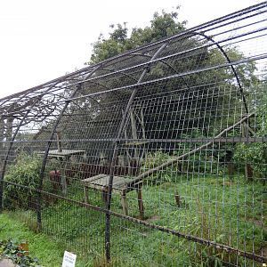 Current Snow Leopard enclosure