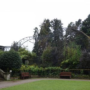 Lar Gibbon enclosure