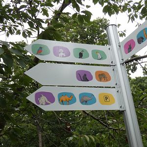 Direction signage