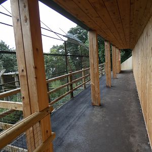 Sumatran Tiger viewing area