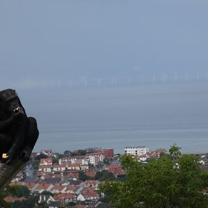Chimp with a view of Colwyn Bay