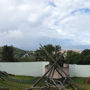 Chimpanzee enclosure panorama