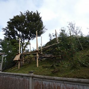 Red Panda enclosure