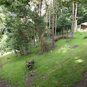 Swamp Wallaby and Greater Rhea enclosure