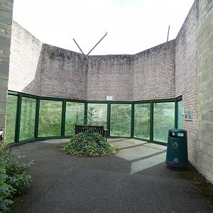 Chimp viewing area