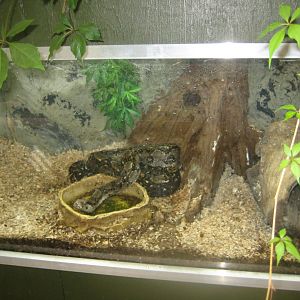 Nordsjællands Fuglepark - Boa constrictor exhibit