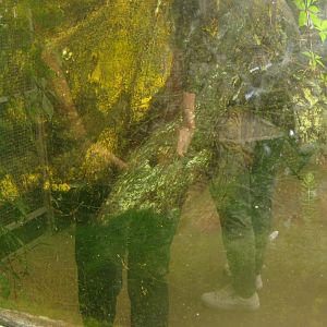 Nordsjællands Fuglepark - Fish tank #2