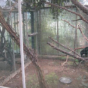 Nordsjællands Fuglepark - Tropical house - Toucan aviary