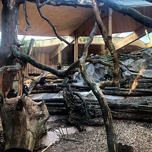 Zoo Magdeburg- mandrill enclosure- 2020