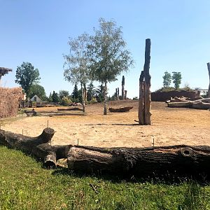 Zoo Magdeburg- African elephant enclosure- 2020