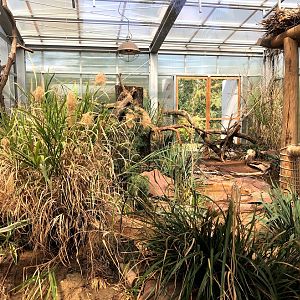 Zoo Magdeburg- walkthrough sand cat enclosure- 2020