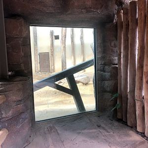 Zoo Magdeburg- glass viewing toward indoor elephant enclosure- 2020
