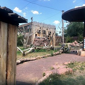 Zoo Magdeburg- old elephant enclsoure, now turned into a walkthrough vulture aviary- 2020
