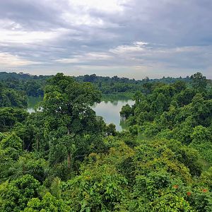 View from the multi-storey car park