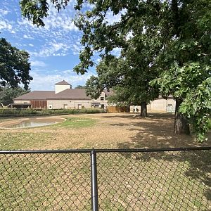 African hoofstock- grants zebra/lesser kudu/African spurred tortoise exhibit