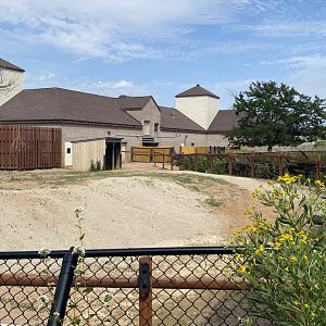 African hoofstock- reticulated giraffe/ostrich/plains zebra exhibit