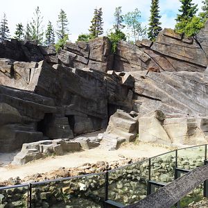 Mishmi takin exhibit, 2020-06-28