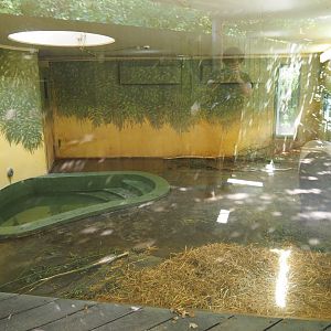 Malayan tapir indoor housing, 2020-06-28