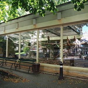 Mexican military macaw and Northern helmeted curassow aviary, 2020-06-28