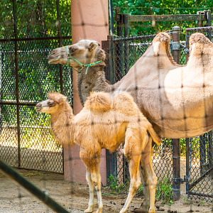 Suria (mom) and Zuri (daughter)