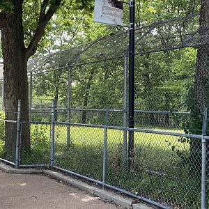 Wolf woods- gray wolf exhibit