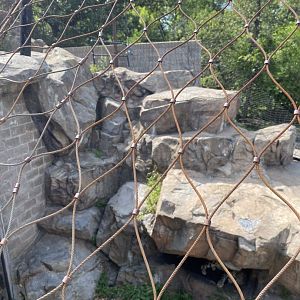 Large cats- snow leopard exhibit