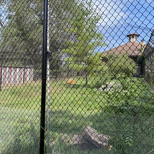 Old hoofstock- arctic fox exhibit