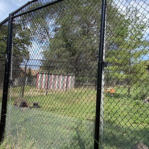 Old hoofstock- arctic fox exhibit