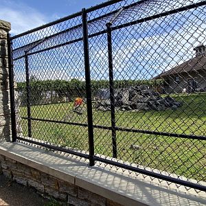 Old hoofstock- Dallas sheep exhibit