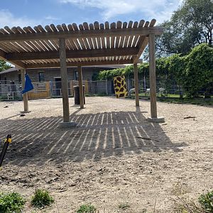 Old hoofstock- American bison exhibit