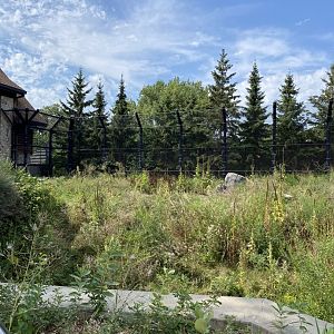 Polar bear odyssey- polar bear exhibit #1