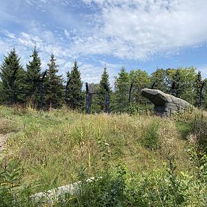 Polar bear odyssey- polar bear exhibit #1