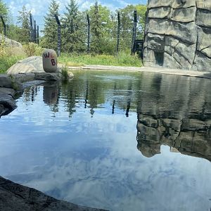 Polar bear odyssey- polar bear exhibit #1