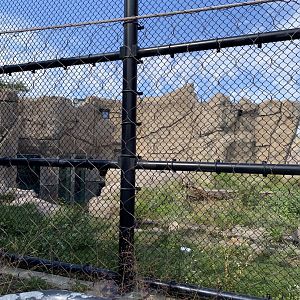 Polar bear odyssey- polar bear exhibit #2