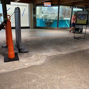 Aquatics- former freshwater fish tanks