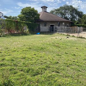 Old hoofstock- empty exhibit