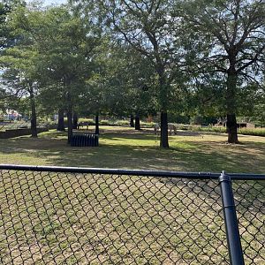African hoofstock- grants zebra/lesser kudu/African spurred tortoise exhibit